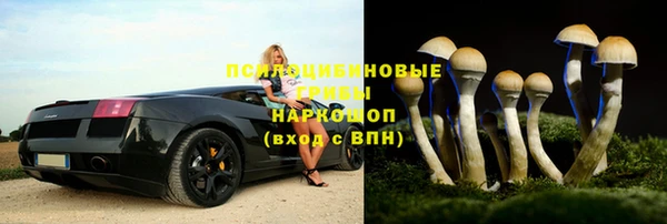 синтетический гашиш Алексеевка