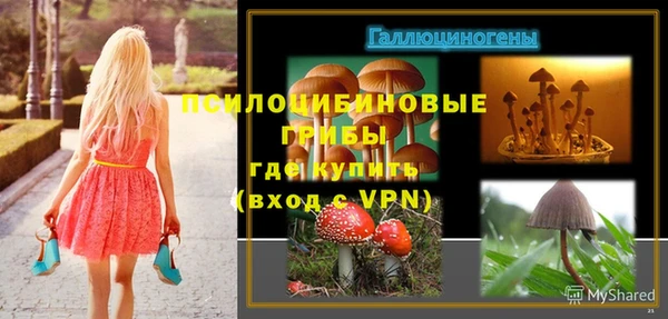 МДПВ Надым