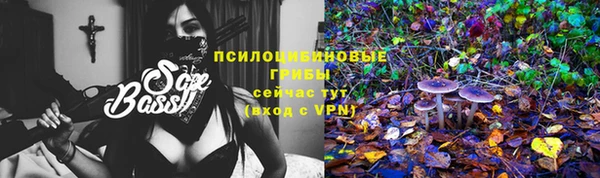 дурь Алексин
