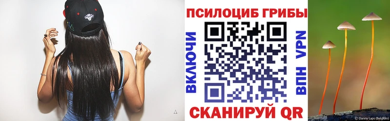 Псилоцибиновые грибы мицелий Черноголовка