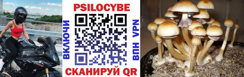 omg tor  Черноголовка  Галлюциногенные грибы MAGIC MUSHROOMS  даркнет клад  дарнет шоп 
