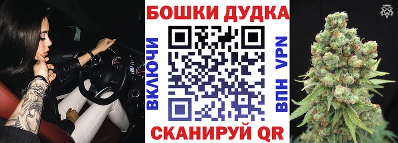где купить наркоту  Черноголовка  MEGA ONION  Каннабис план 